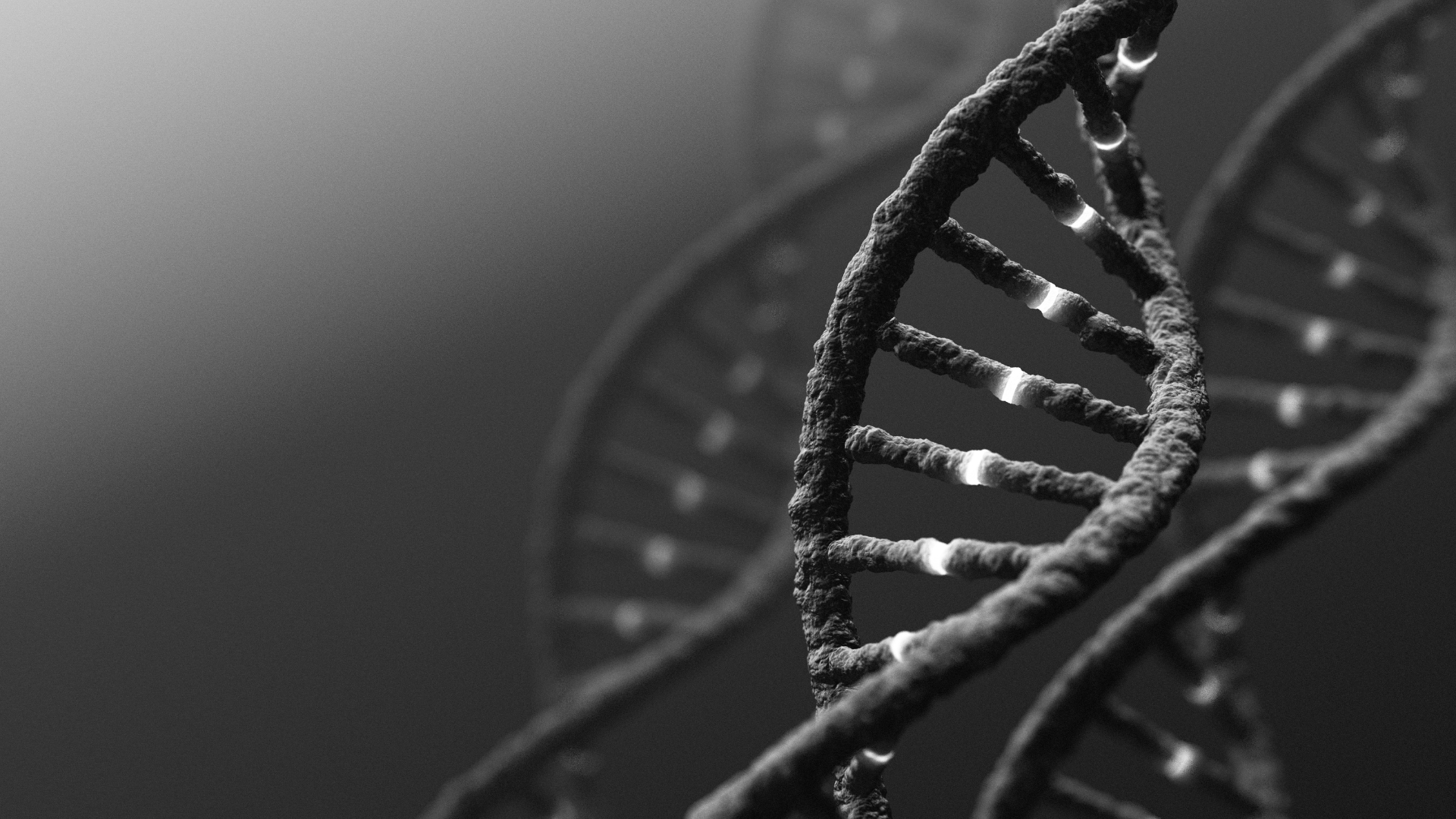 Consultații Medicale